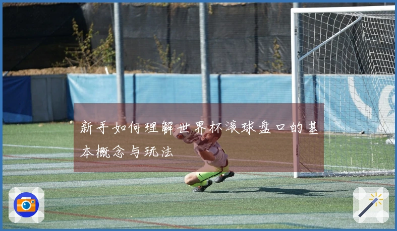 新手如何理解世界杯滚球盘口的基本概念与玩法