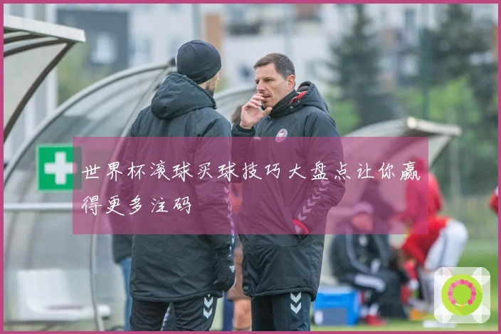 世界杯滚球买球技巧大盘点让你赢得更多注码