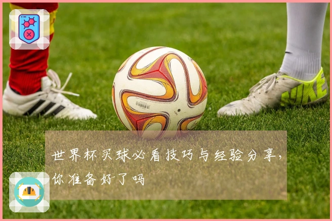 世界杯买球必看技巧与经验分享，你准备好了吗