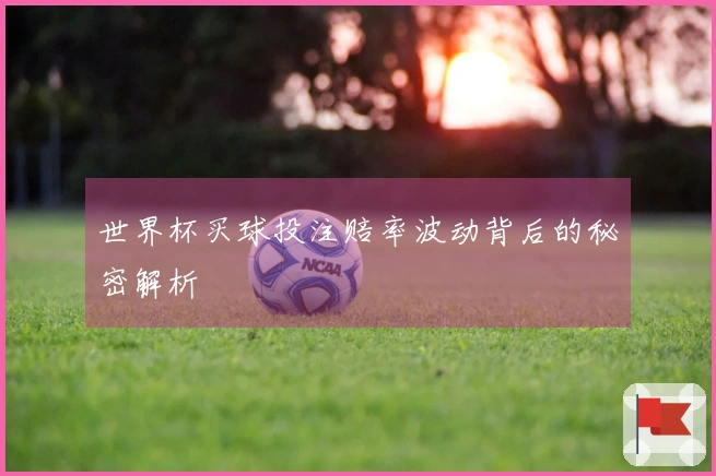 世界杯买球投注赔率波动背后的秘密解析