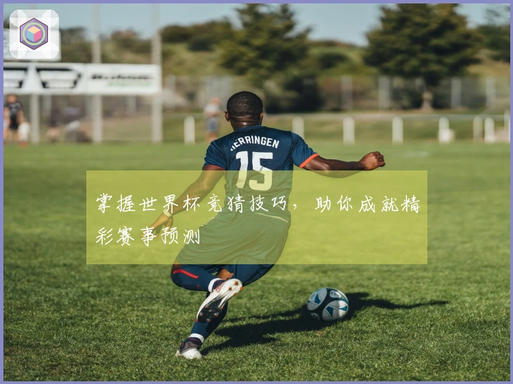 掌握世界杯竞猜技巧，助你成就精彩赛事预测