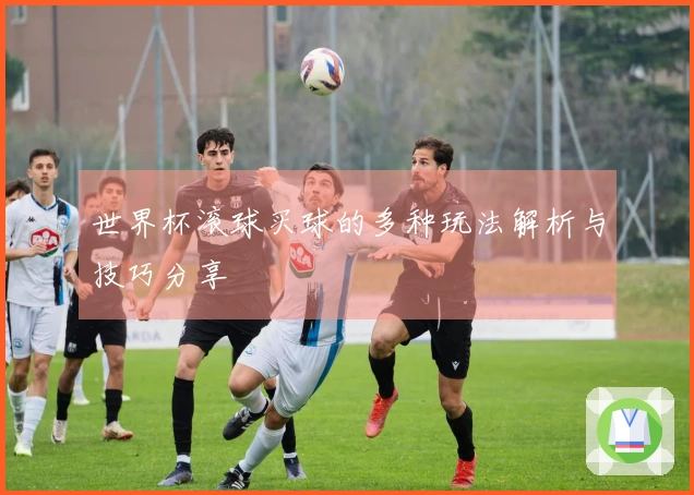 世界杯滚球买球的多种玩法解析与技巧分享