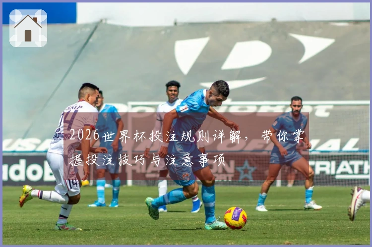 2026世界杯投注规则详解，带你掌握投注技巧与注意事项