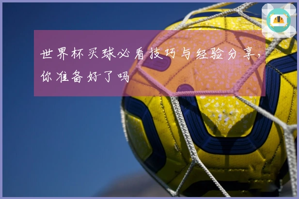 世界杯买球必看技巧与经验分享，你准备好了吗
